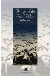 Haziran'da Bir Fidan