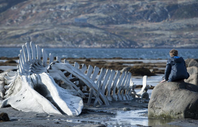 'Leviathan'ın yönetmeni: "Putin beni aramaz"