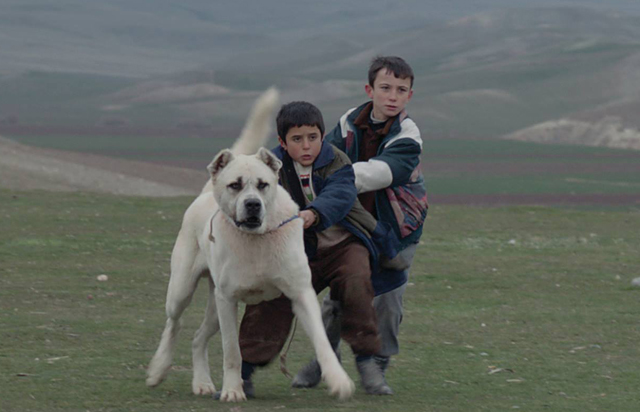 Türkiye’nin Oscar aday adayı ‘Sivas’