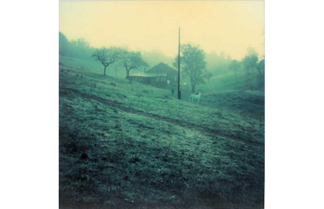 Tarkovsky polaroidleri 500 bin euro