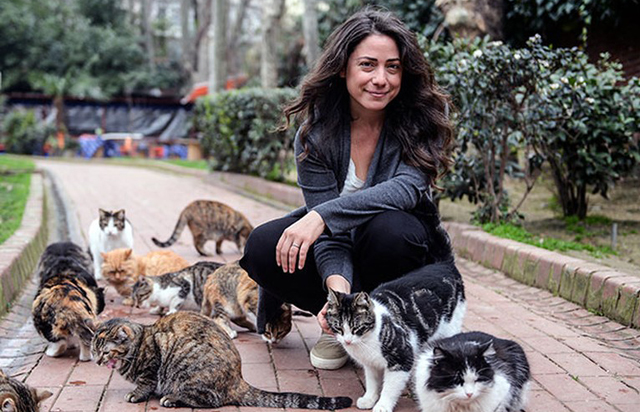 İstanbul'un 'Kedi'leri Amerika gündeminde