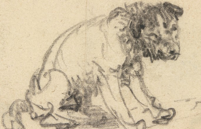 Rembrandt'ın köpek çizimi bulundu