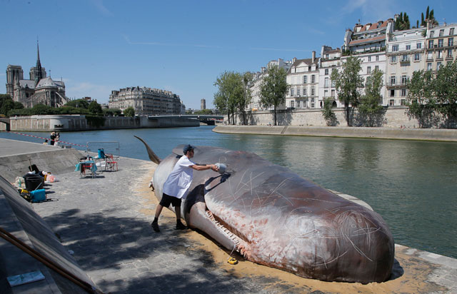 Seine Nehri'nin kıyısına balina vurdu