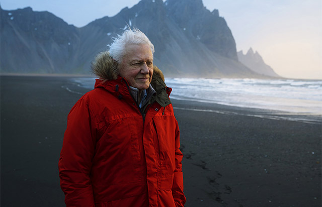 David Attenborough'dan Glastonbury sürprizi