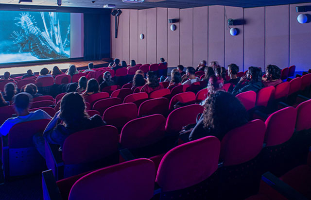 Pera’dan insan ve doğa İlişkisi üzerine dört film 