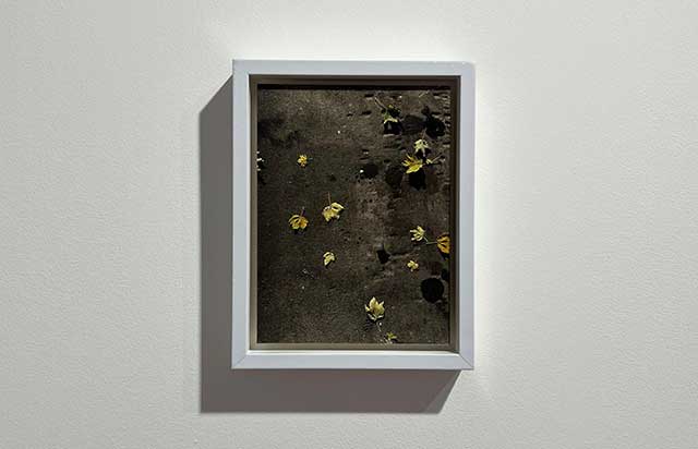 Vision Art Platform'dan Londra'da 'What Will not Bend, Will Break' sergisi