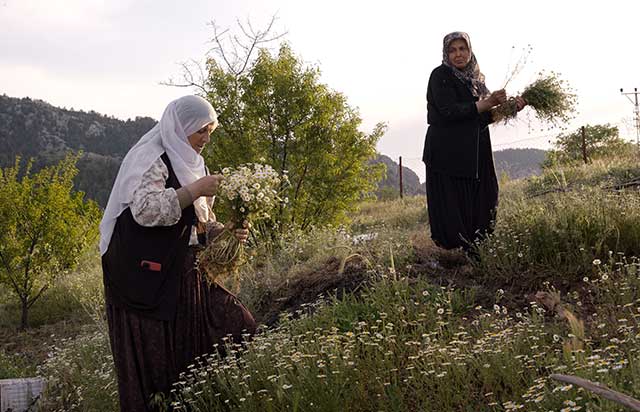 '32 Metre' İstanbul Film Festivali’nde