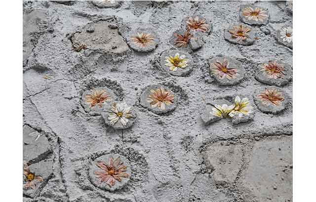 Betona gömülen çiçekler