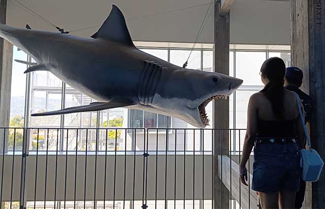 50’lik Jaws, Oscar Müzesi’ne geleni ısırıyor