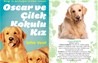 Köpekler aşık olursa: Oscar ve Zilli