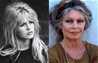 Brigitte Bardot da Rusya yolcusu