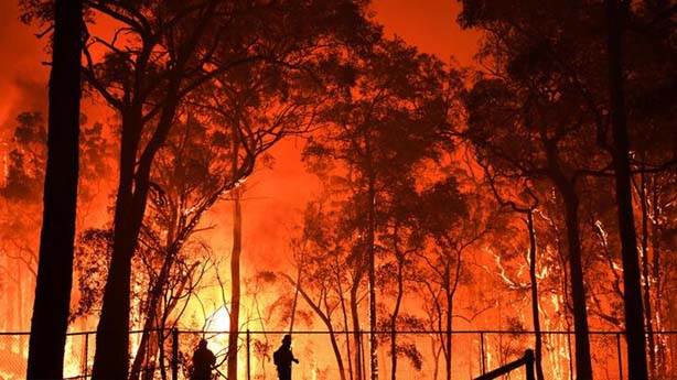 4- Avustralya&#39;daki orman yangınları