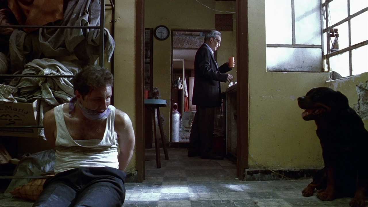 En iyi kapanış sahnesine sahip 17 film