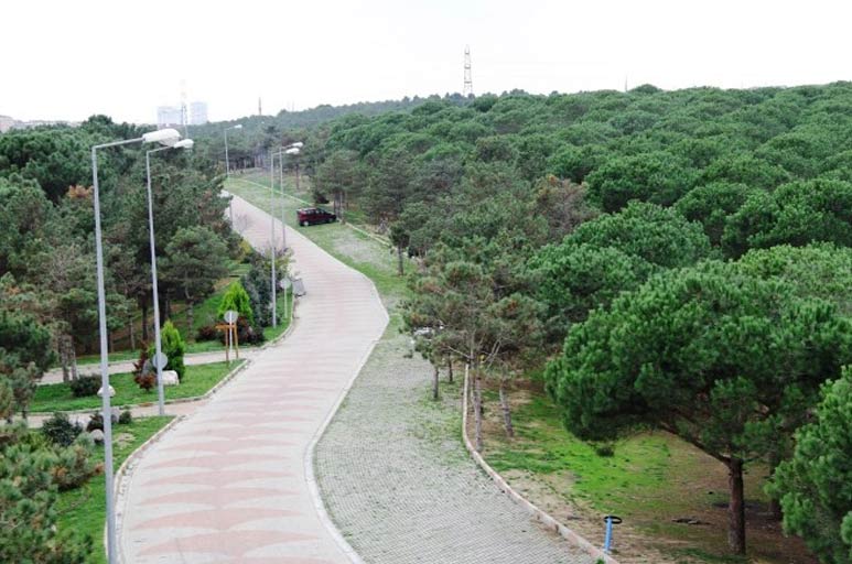 İstanbul�un ormanları