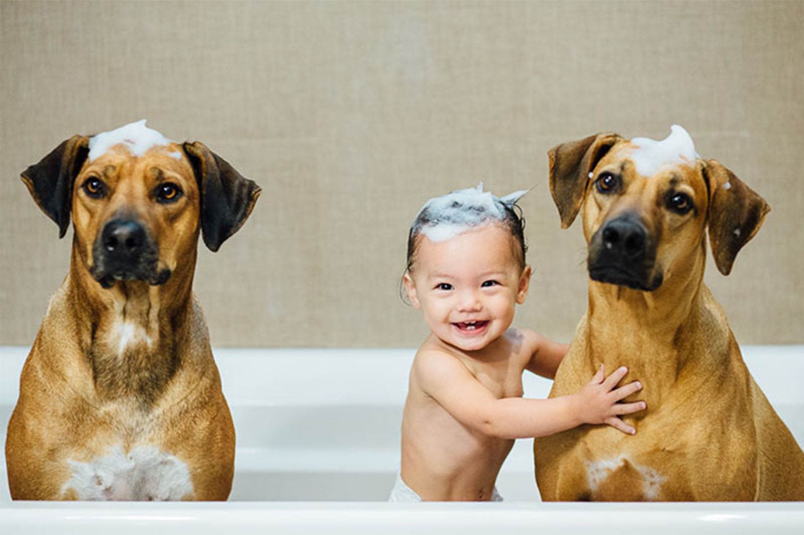köpekler ve bebekler