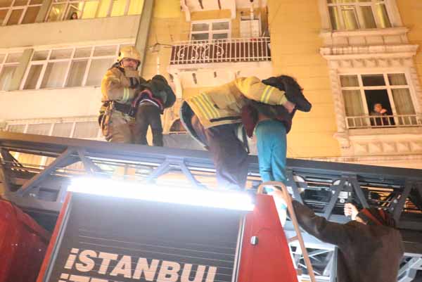 Gece yarÄ±sÄ± can pazarÄ±: 11 kiÅi bÃ¶yle kurtarÄ±ldÄ±