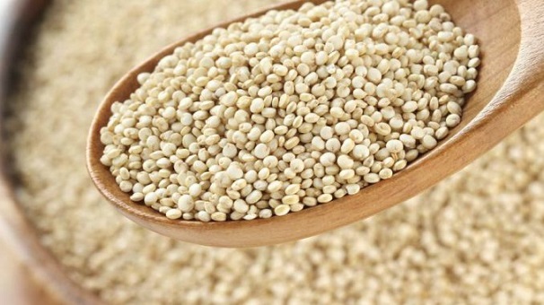  Image result for kinoa 