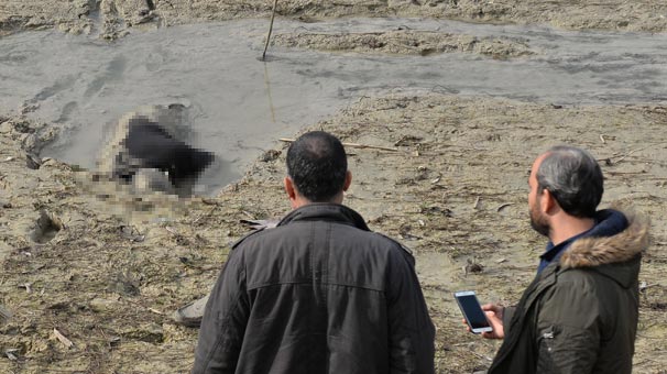 Adana'da Seyhan Baraj GÃ¶lÃ¼'nÃ¼n su Ã§ekilmiÅ bÃ¶lÃ¼mÃ¼nden karÅÄ±ya geÃ§mek isterken bataklÄ±Äa saplanan adam, Ã¶lÃ¼ olarak bulundu. ile ilgili gÃ¶rsel sonucu