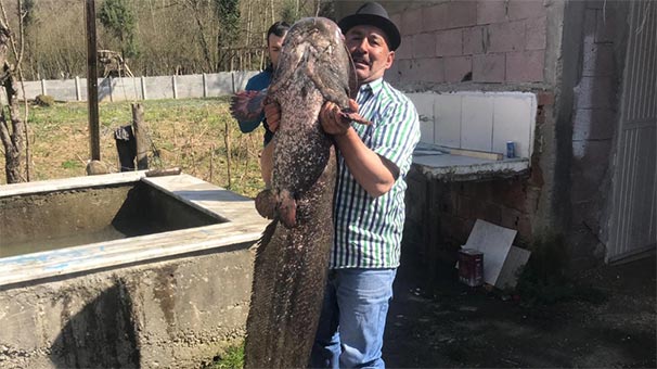 GÃ¶renler ÅaÅkÄ±nlÄ±ÄÄ±nÄ± gizleyemedi! Ä°lk kez bÃ¶ylesini yakaladÄ±